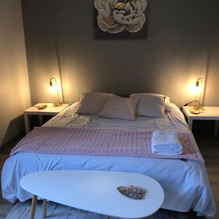 Bel Appartement Spacieux Et Lumineux Hyper Centre Μπλουά Εξωτερικό φωτογραφία