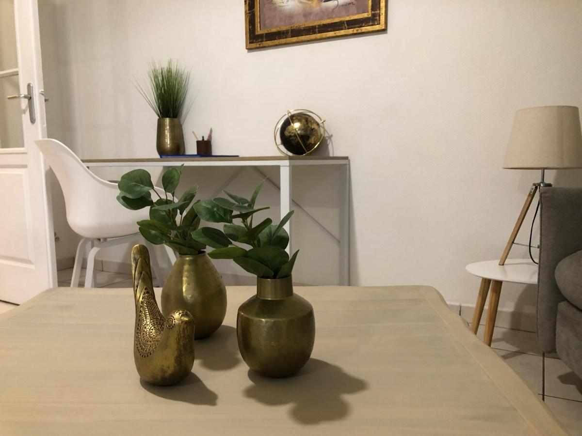 Bel Appartement Spacieux Et Lumineux Hyper Centre Μπλουά Εξωτερικό φωτογραφία